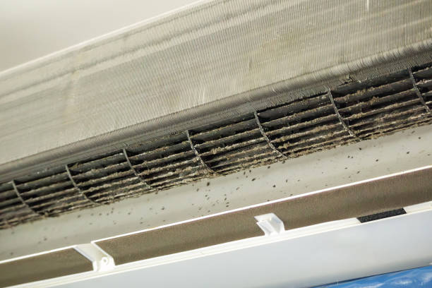 Best Air Duct Sanitizing Services  in Simmesport, LA